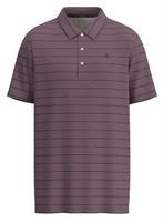 Weekender Polo from Hooey