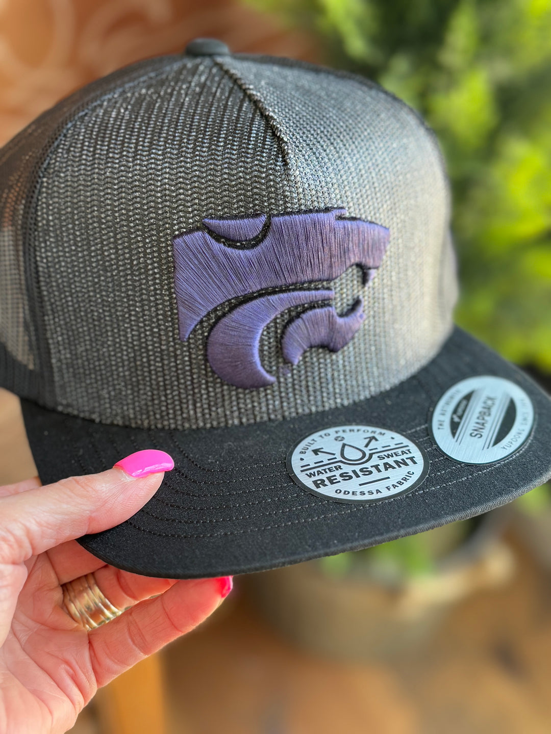 Kansas State from Hooey