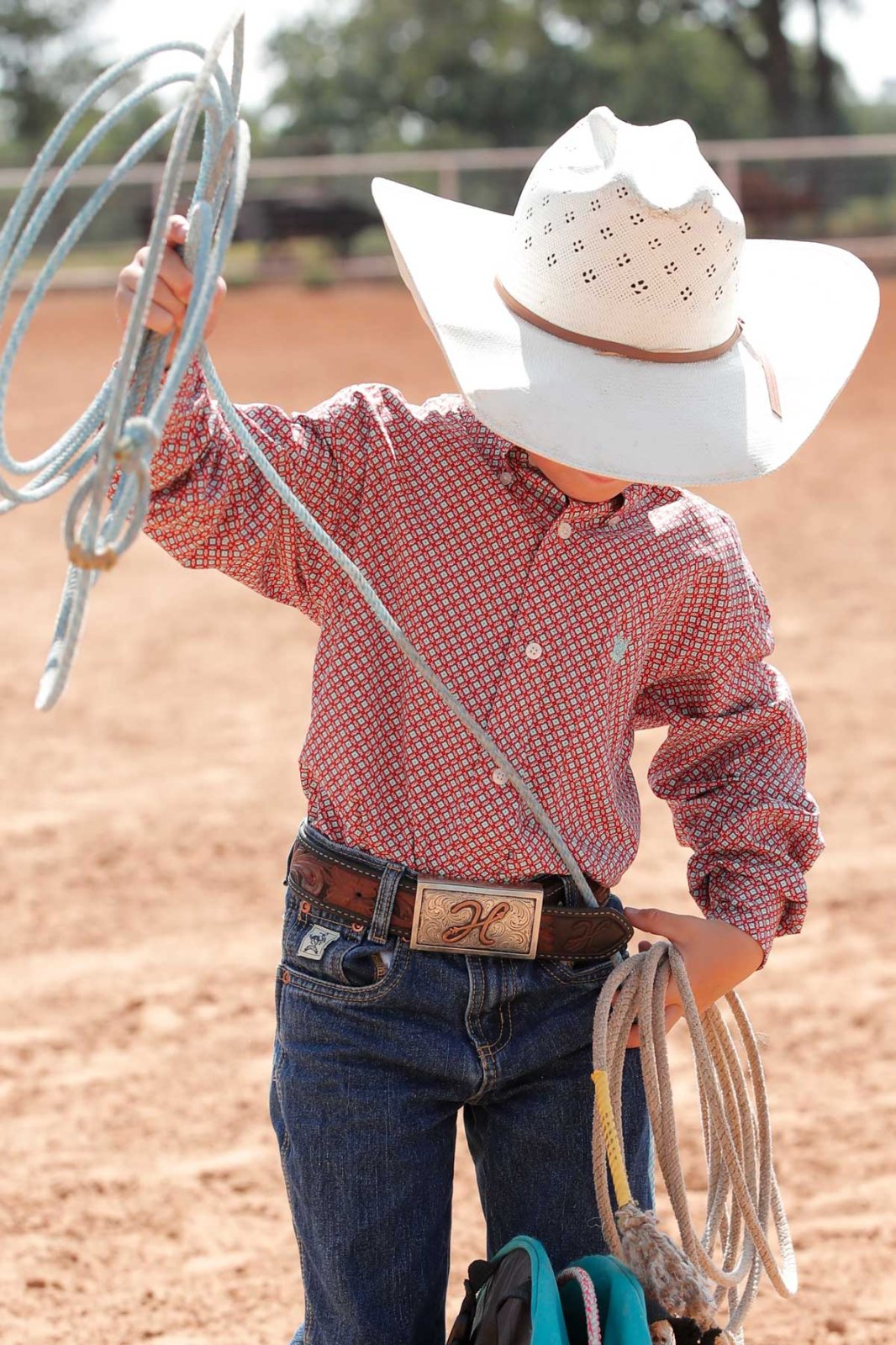 Classic Fit Print Shirt from Cinch