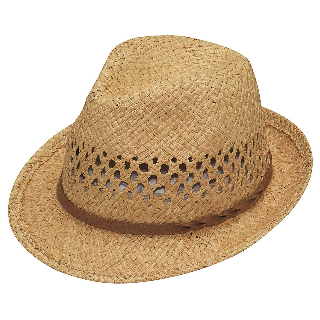 Raffia Fedora from Twister