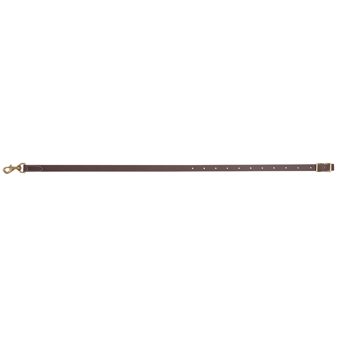 Biothane 3/4" Tiedown from Equibrand