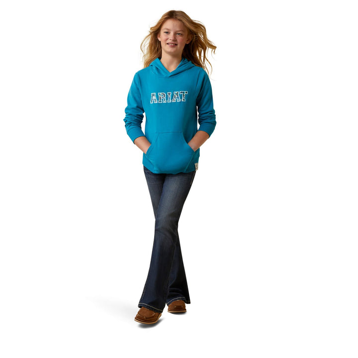 3D Logo 2.0 Hoodie from Ariat - High Call Outfitters