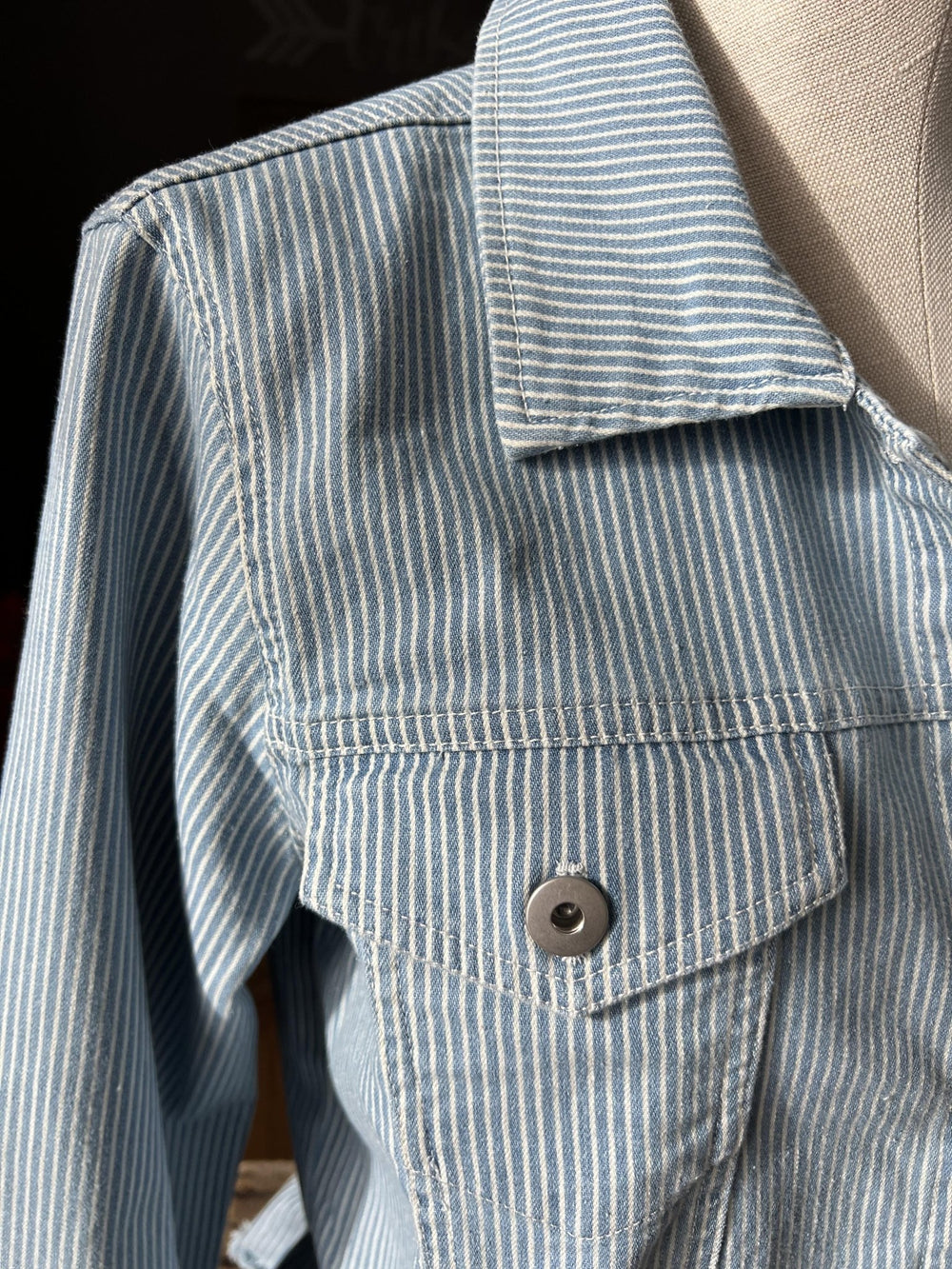 Railroad Stripe Jacket from Multiples - High Call Outfitters