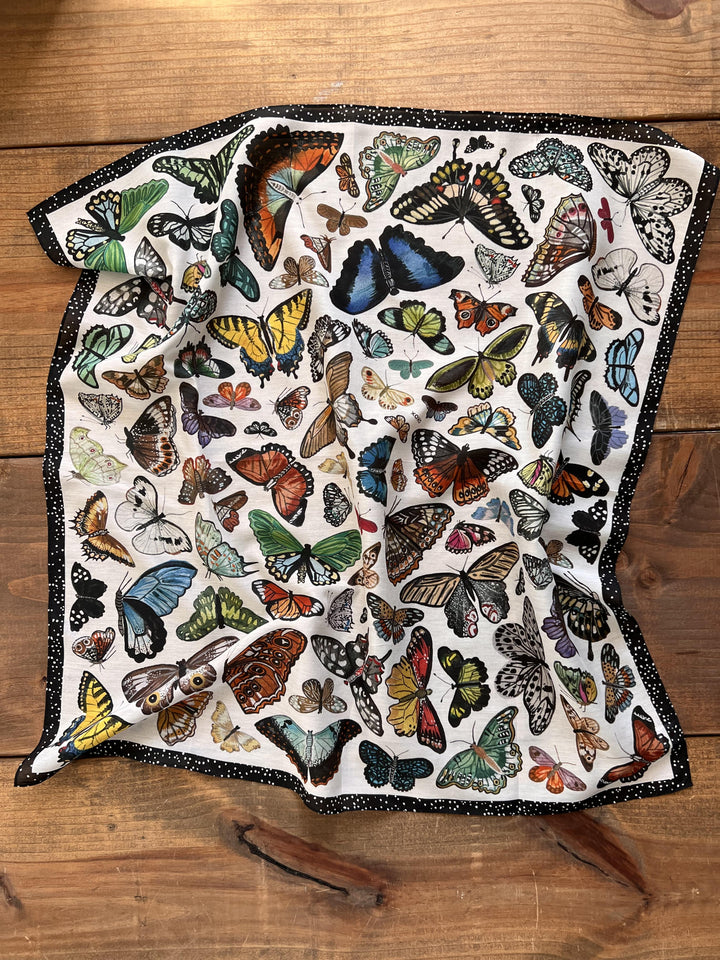 Butterflies Shorty from XOXO Art & Co