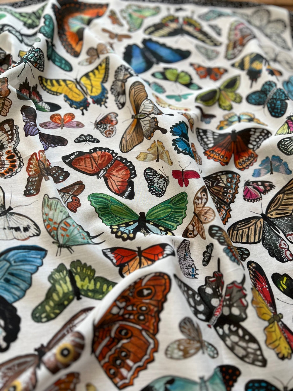 Butterflies Shorty from XOXO Art & Co - High Call Outfitters