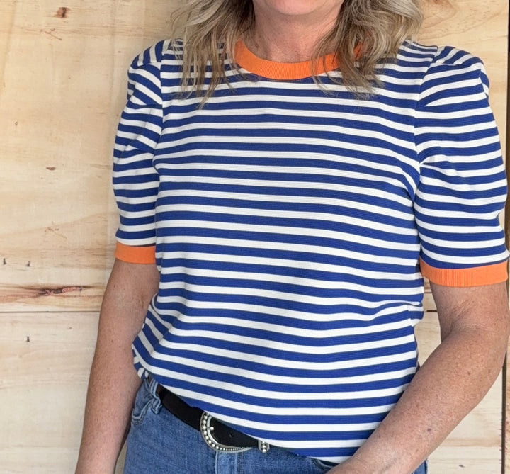 Pleated Sleeve Stripe Knit Top