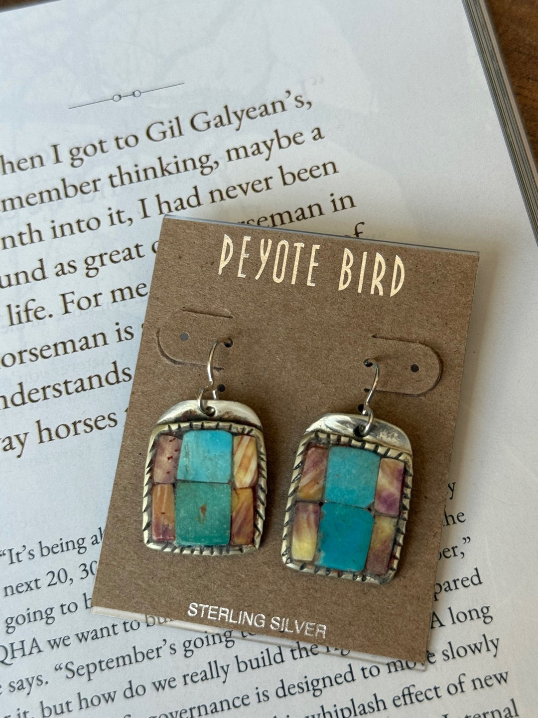 Charlie Favour Earrings from Peyote Bird - High Call Outfitters