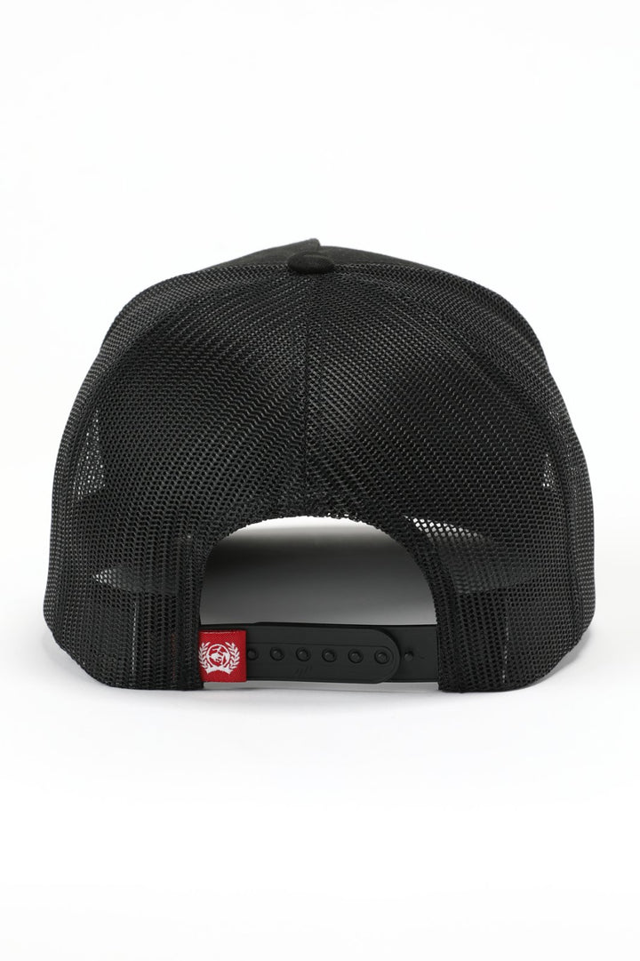 Vegas Ballcap from Cinch