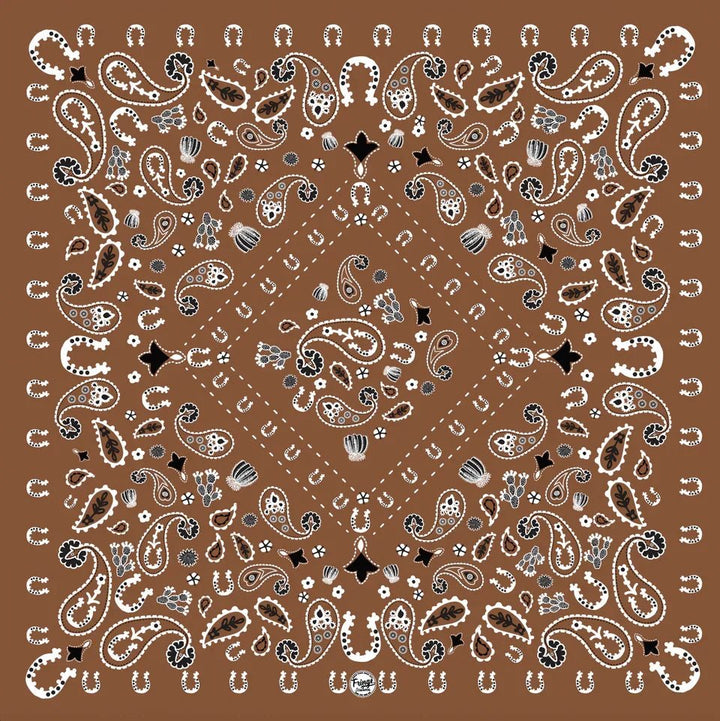 Luck Be A Paisley Bandana from Fringe Scarves - High Call Outfitters