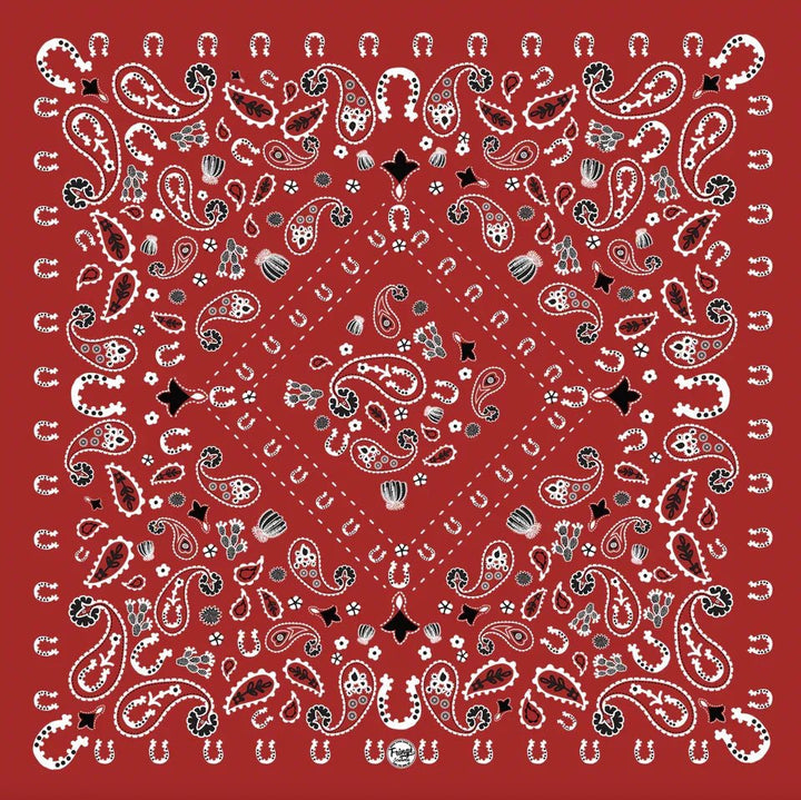 Luck Be A Paisley Bandana from Fringe Scarves - High Call Outfitters