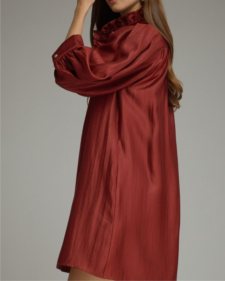 Ruffle Neck Puff Sleeve Mini Dress