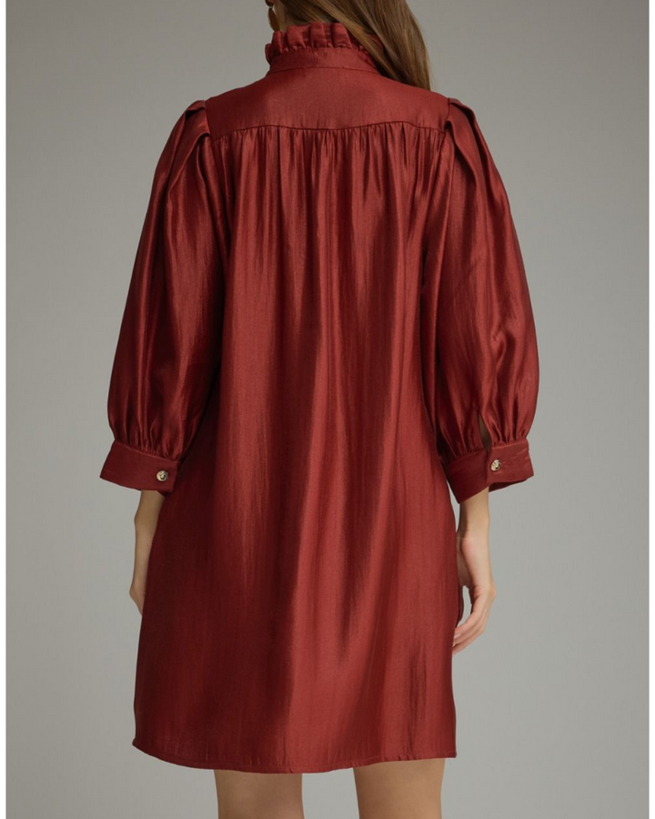 Ruffle Neck Puff Sleeve Mini Dress