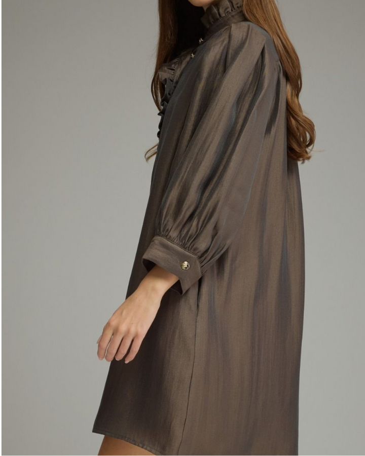 Ruffle Neck Puff Sleeve Mini Dress