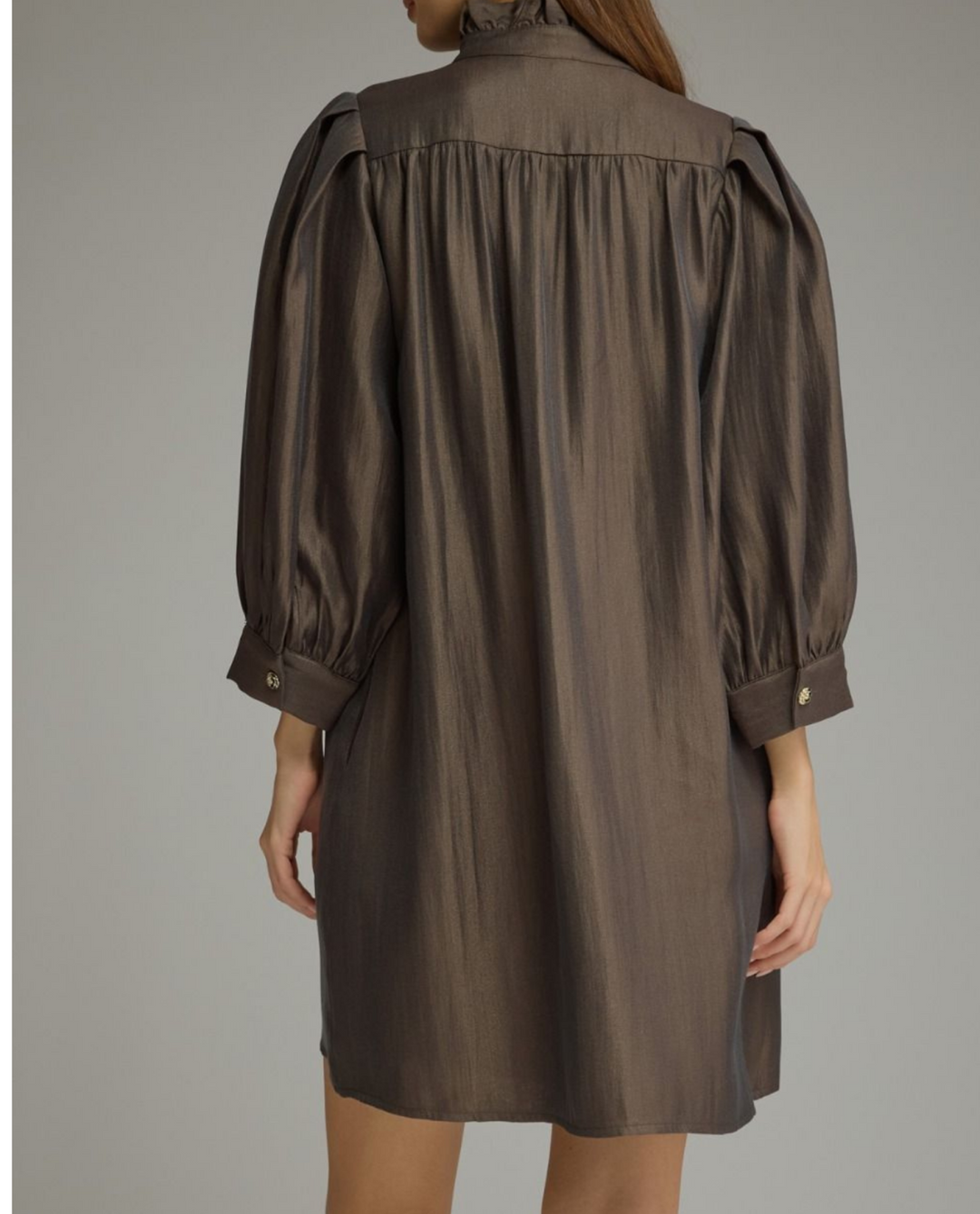 Ruffle Neck Puff Sleeve Mini Dress