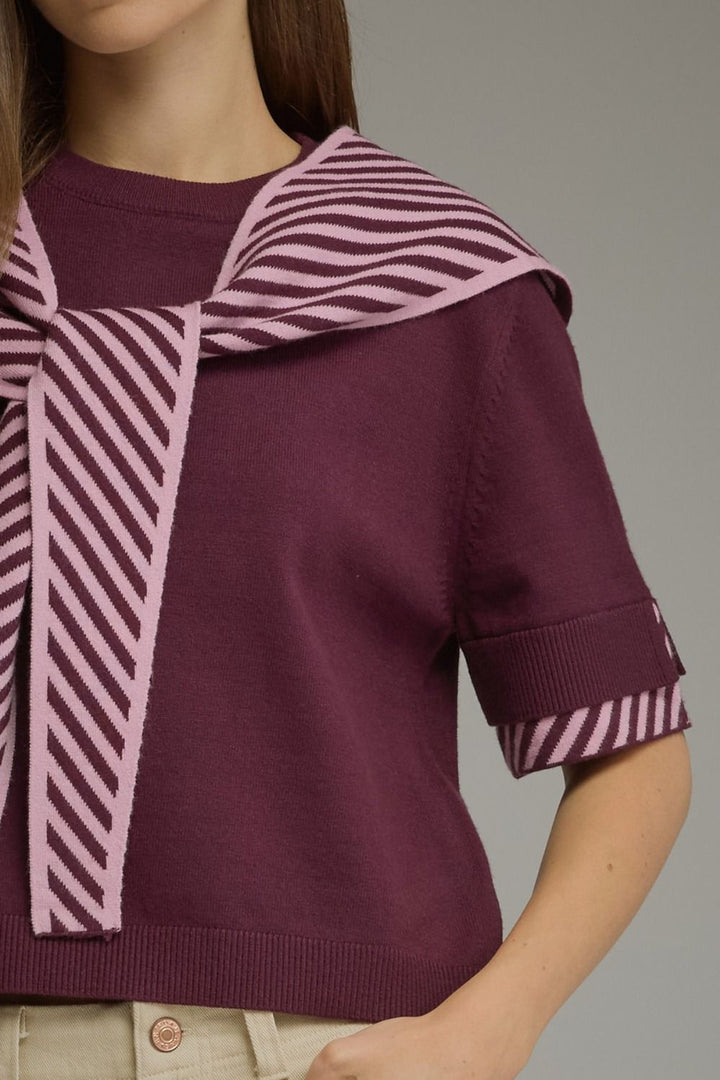 Stripe Contrast Sweater Knit Top
