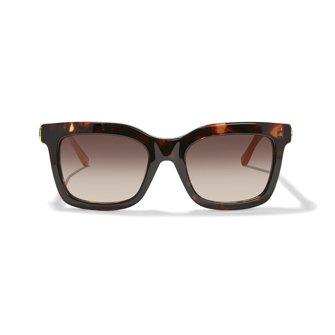Ferrara Two Tone Sunglasses from Brighton