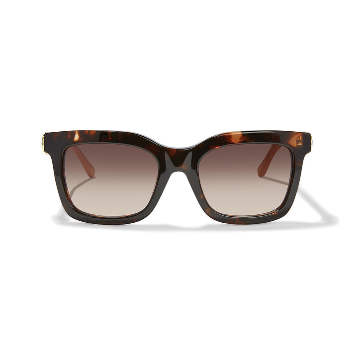 Ferrara Two Tone Sunglasses from Brighton