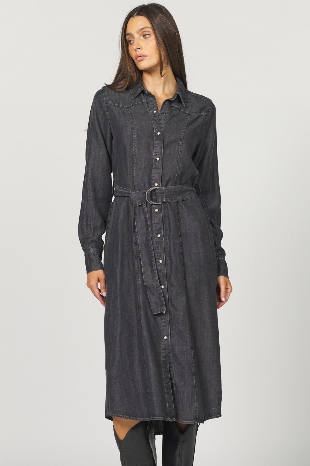 El Dorado from Dear John - High Call Outfitters