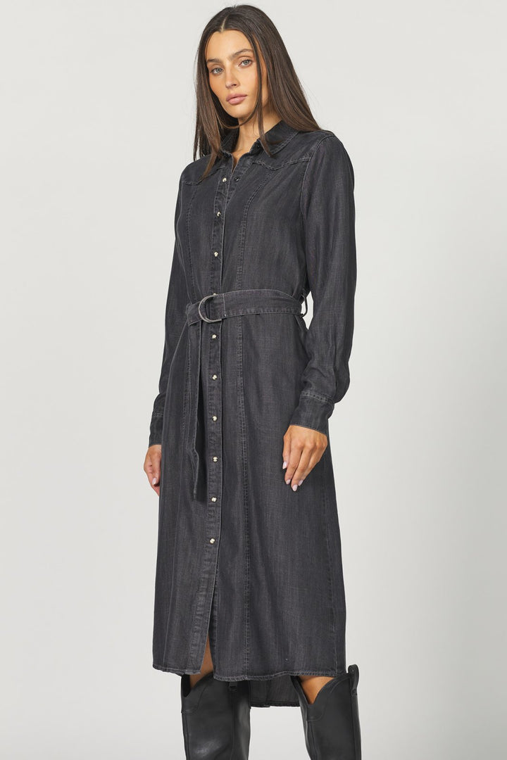 El Dorado from Dear John - High Call Outfitters