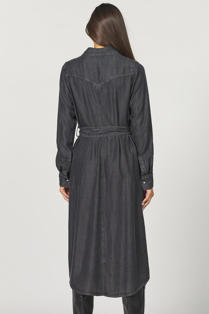 El Dorado from Dear John - High Call Outfitters